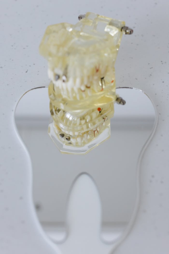 Close-up of a dental model reflected in a tooth-shaped mirror on a speckled surface.